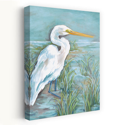 Aigrette - aigrette côtière