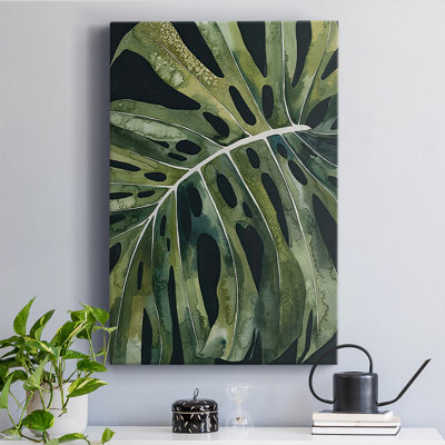 " Nocturnal Monstera II "
