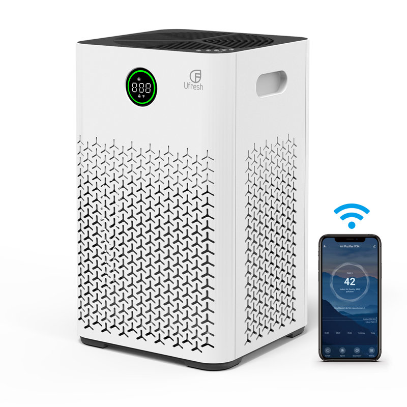 Purificateur d'air avec filtre véritable