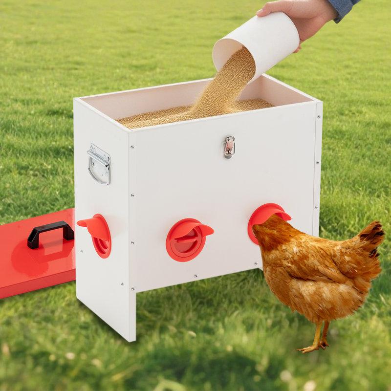 Mangeoire automatique pour poulets sans déchets, mangeoires en métal pour poulets, poulets, canards et dindes