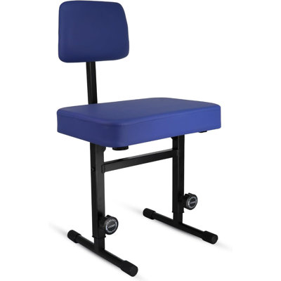 5 Core Piano Bench Height Adjustable Keyboard Stool Stool Heavy Duty Thick Padded Cushioned Seat with Backrest by Inbox Zero
