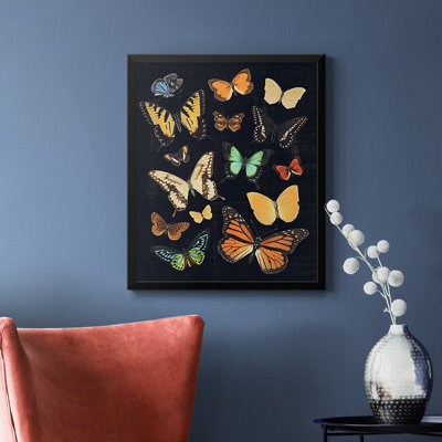 Toile encadrée de qualité supérieure Colliguré Flutter III - prêt à être accroché