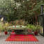 Habitat Festival Hand Tufted Polka Dots Area Rug in Red/Dark Brown-1406182107
