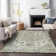 Machine Washable Indoor/Outdoor Jocelyn ACN2138 Global Rug