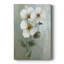 Blanc Fancy I - galerie Cavas-185122583