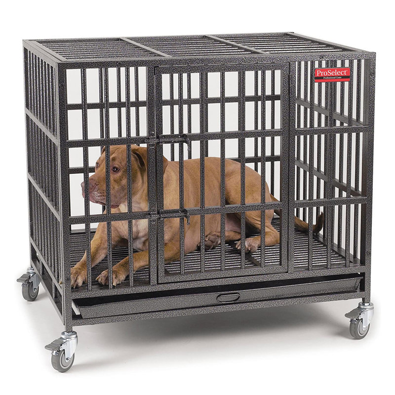 Pet Crate with 1 Door