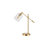 Ranbir Metal USB Desk Lamp