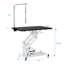 Table de toilettage hydraulique pour chien Z-Lift-123796414