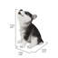 CHIOT SIBERIEN HUSKY PUPPY
