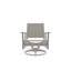 Wexler Outdoor Swivel Lounge Chair-1099678799-1102391101