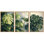 «Tropical Green Monstera Leaves», impression sur toile encadrée, impression sur toile