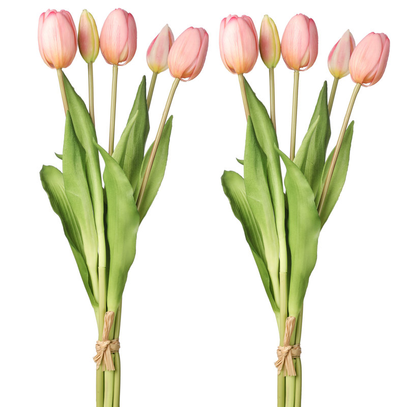 Tulip Arrangement, Blush Pink