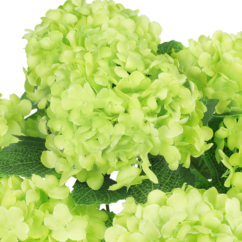 Boule de neige Guelder Rose, Vert / vert