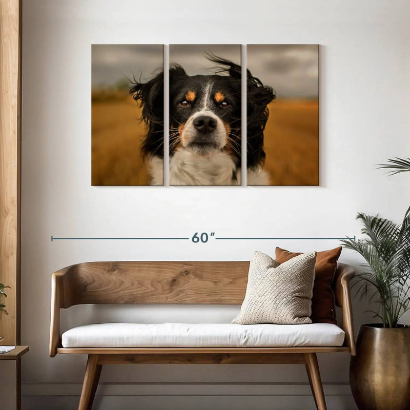 Brampt Expressive Border Collie, 28" H x 45" W