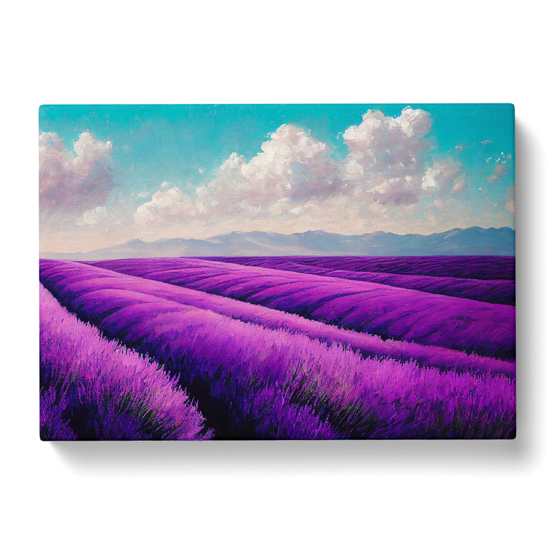 Astonishing Lavender Flower Field - Wrapped Canvas, 35cm H x 50cm W x 3cm D