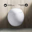 Plaisir® Dual-Flush Elongated Wall mounted (Seat Included)