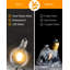 Aloise 920cm Solar Powered 54 - Bulb Festoon Lights String Light