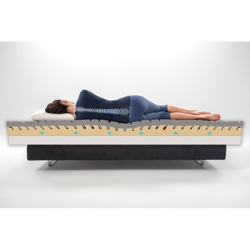 Magnistretch Sport 10 simple TG, Très grand simple