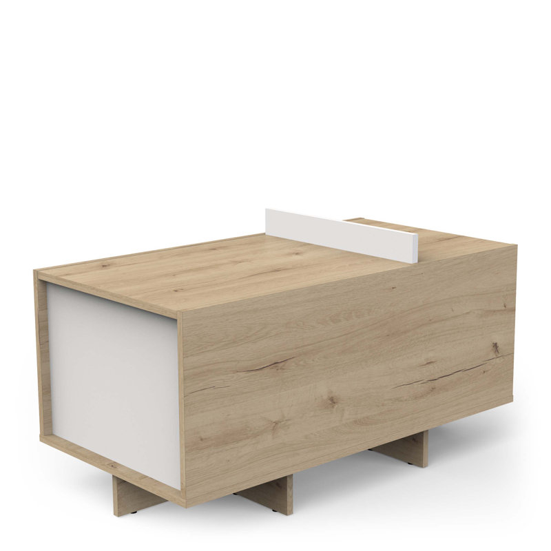 LEAD Coffee Table with Storage