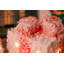 Christmas Decorative Accent-1857531878