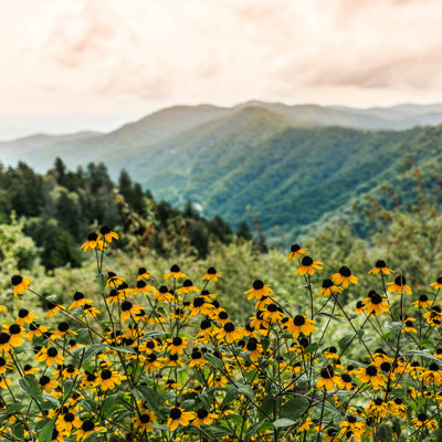 " Smoky Mountains National Park "