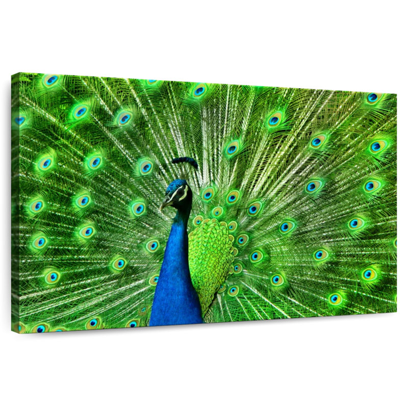 Brampt Chartreuse Green Peacock Feather, 30" H x 45" W