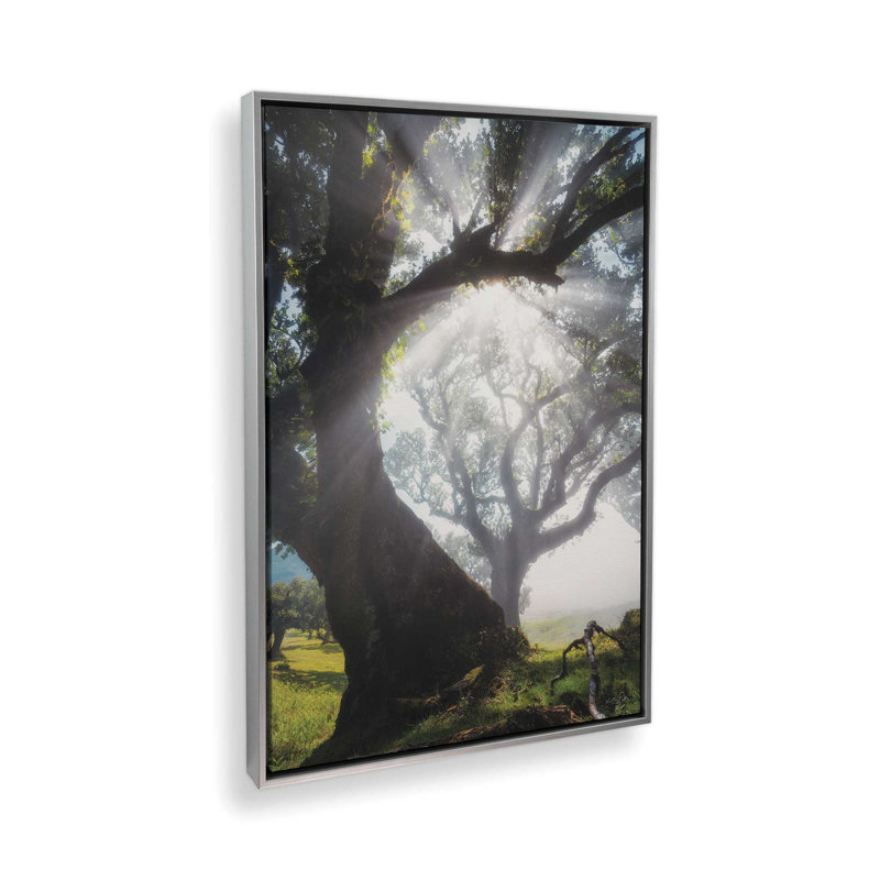 Reproduction d'art "Bend Rays" par Martin Podt, Framed Canvas, Silver, 8 W x 12 H