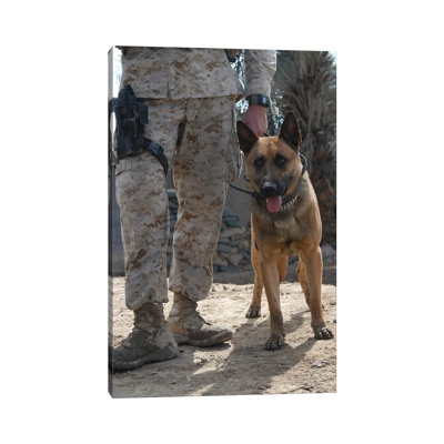 A Belgium Malonois Military Working Dog Stands by His Handler 1 Piece Wrapped Canvas Wall Art