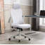 Kjeld Mesh Office Chair with Headrest-317871094