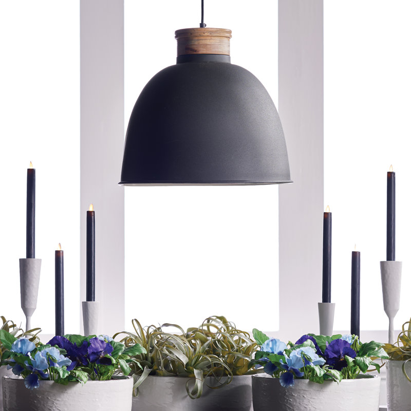 1-Light Inverted Pendant