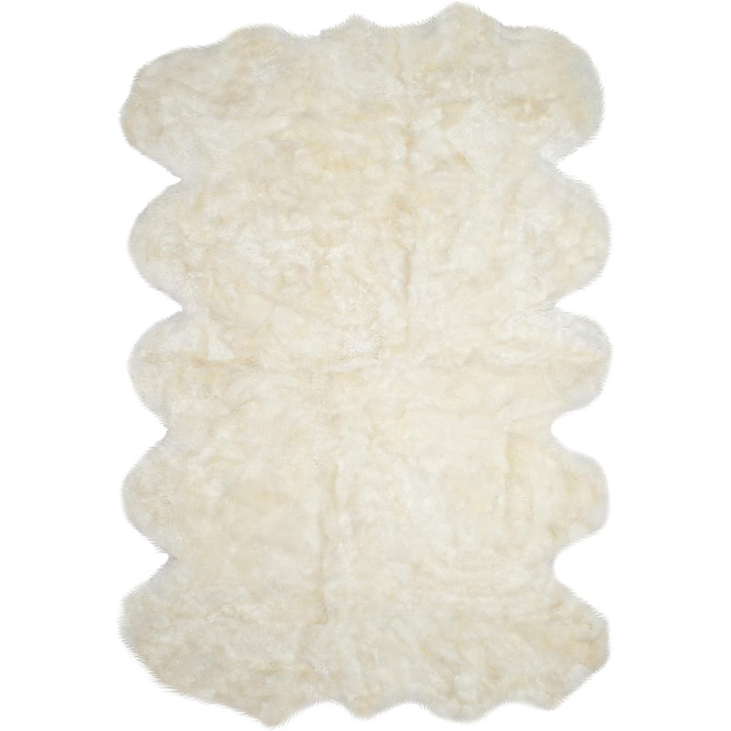 Leontes Indoor Rug, Novelty 6' x 9'