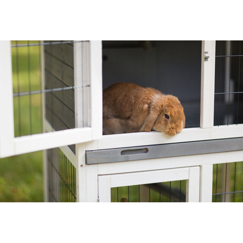 Clapier à lapin résistant aux intempéries avec rampe Nickols