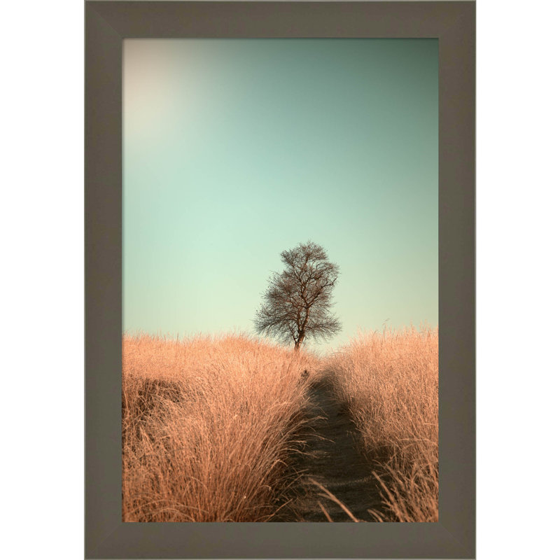 Grass And Path by Jaap Van Den, 9" W x 13" H, Gray