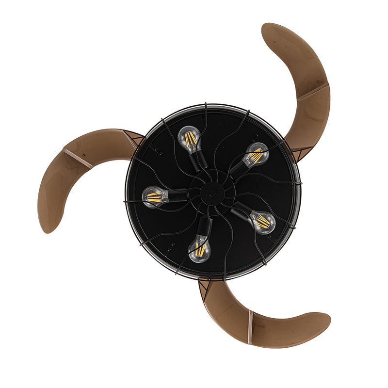 Ceiling Fan