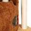 Structure d'escalade créative pour chat