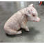 Statue de cochon assis