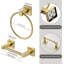 Wall Mounted Toilet Paper Holder