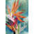 Black Floater Framed Canvas