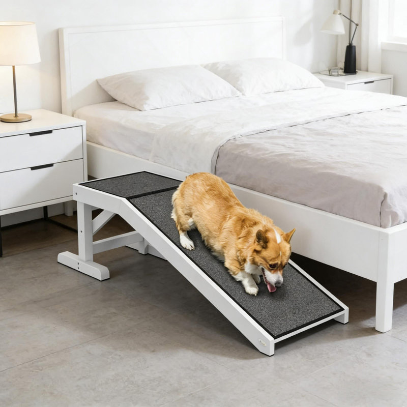 Rampe pour chien, rampe pour animal