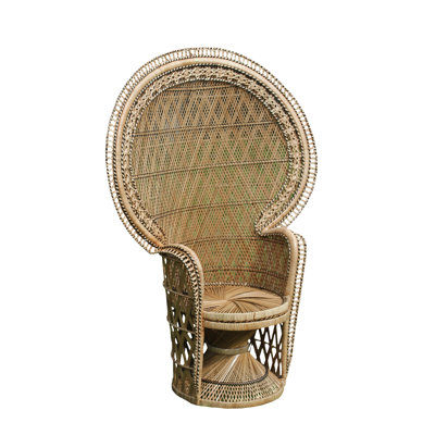 Romulus 50" Wide Balloon Chair by Bayou Breeze