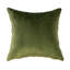 Ensemble de 2 coussins en velours-2038485901