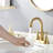 Centerset 2-handle Bathroom Faucet with Drain Assembly-70781050