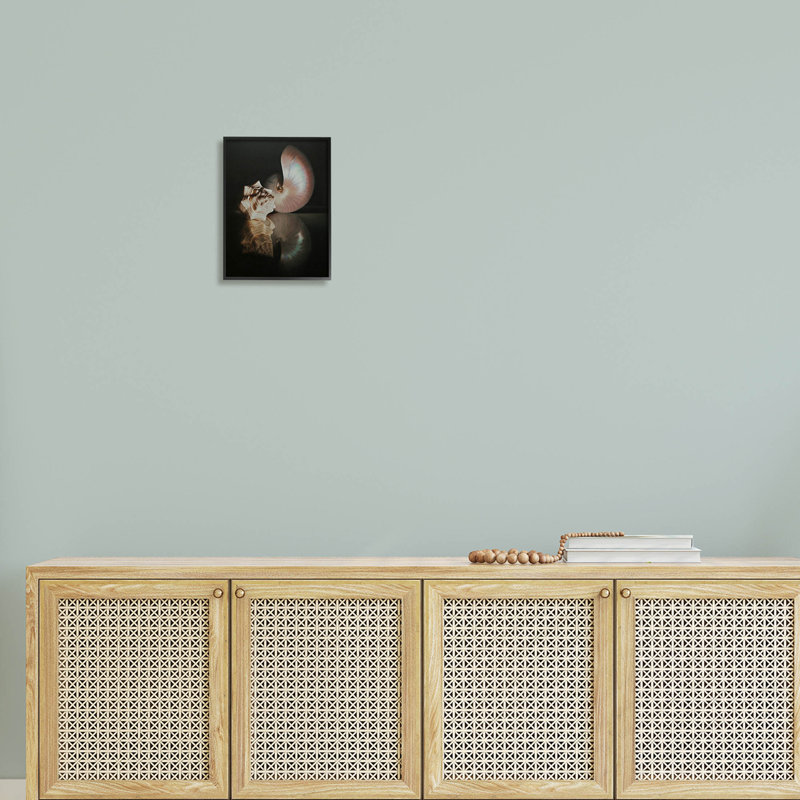 Reproduction d'art giclée de coquillages foncés par Cecile Baird, H 14 po x l 11 po x P 1,5 po, Giclée encadrée noir minuit