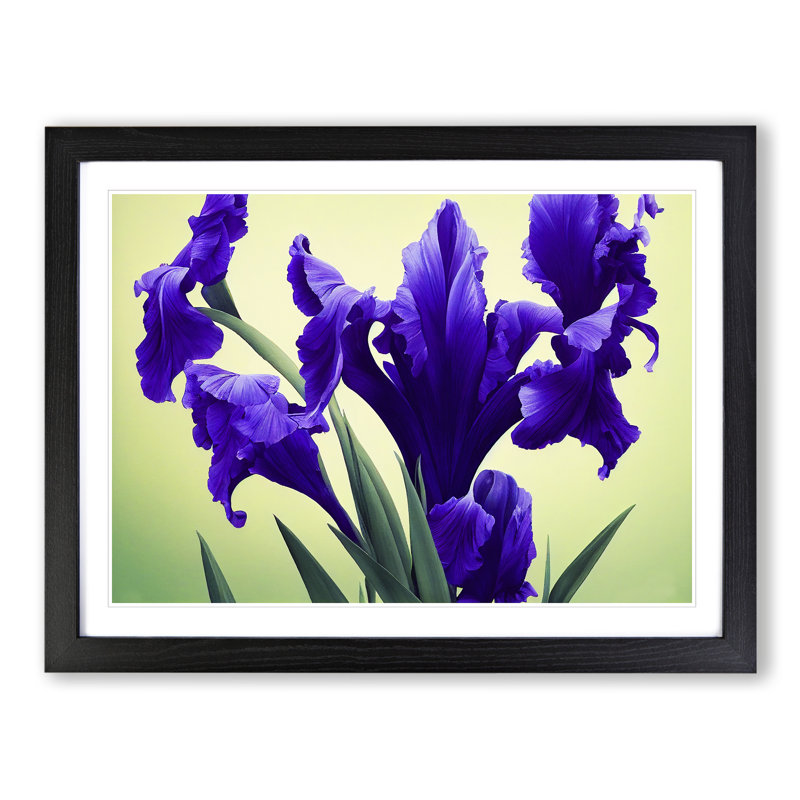 Evolving Iris Flowers - Single Picture Frame Painting, Black, 46cm H x 64cm W x 2cm D