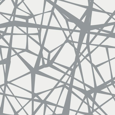 Web Geometric Vinyl Matte Wallpaper Roll by Jamie Graney