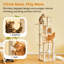 Tour pour chat 64 po-1077888261-1077888248