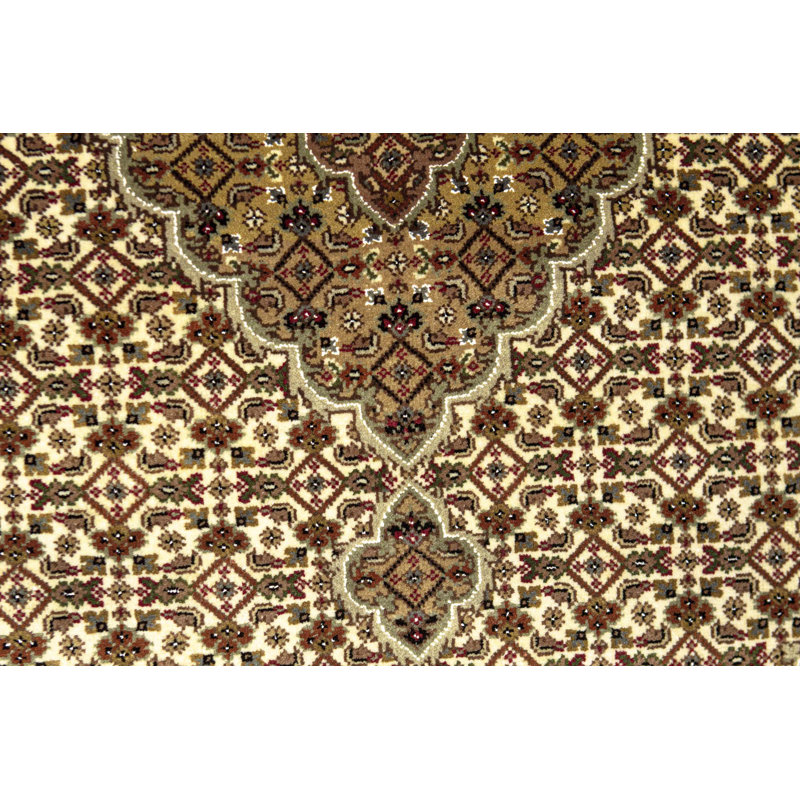 Oriental Area Rug