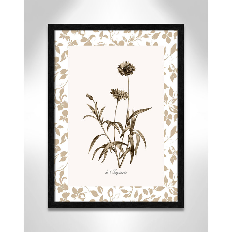 «Neutral Imperial I Print» par Kelly Donovan, 17'' W x 23'' H, Framed Print, Black Woodgrain