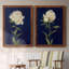 PRETTY AS A PEONY I - Ensemble de 2 reproductions de cadres photo sur toile-1201202730-1201202727