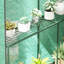 Walk-in Greenhouse 2 Tier 4 Shelves for Outdoor 6 x 4 x 6ft Green